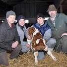 2k__pfigeskalb-APASepp Pointinger.jpg