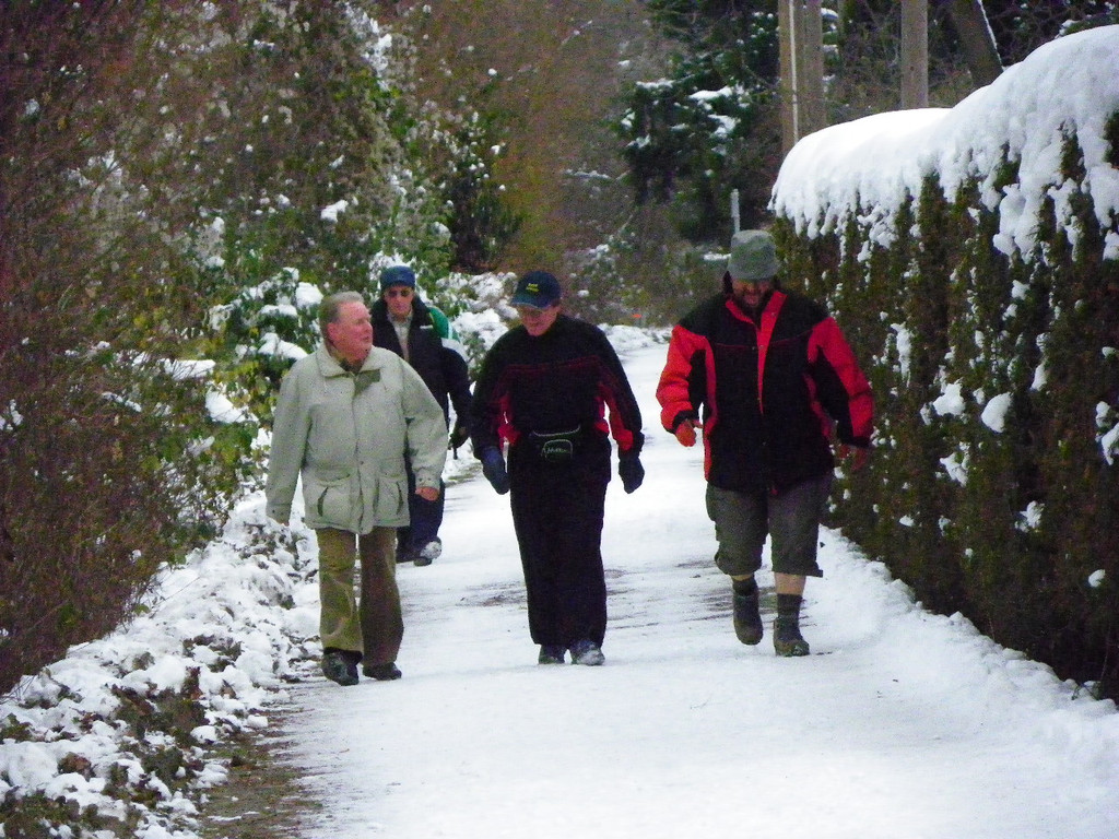 108_1335_jpg-1354833887