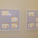 DSCN0008_JPG-1354839390