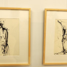 DSCN0011_JPG-1354839399