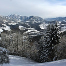 normal_071212werfenat0400101.JPG