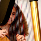 DSC00395_JPG-1354977554