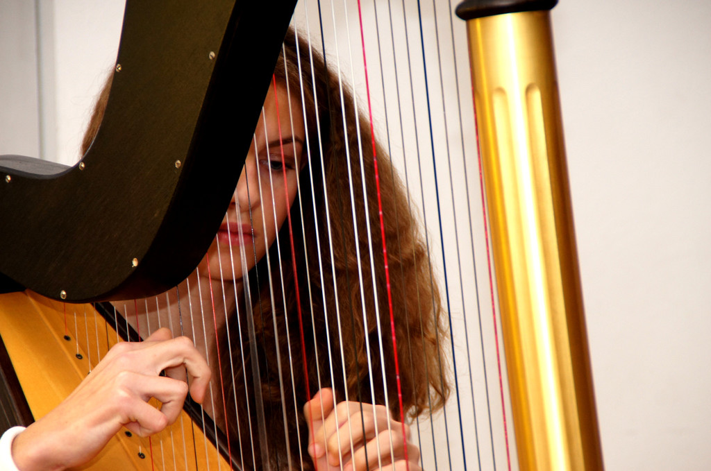 DSC00395_JPG-1354977554