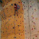 DSC07316 _Large__JPG-1355031614