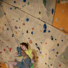DSC07342 _Large__JPG-1355031632