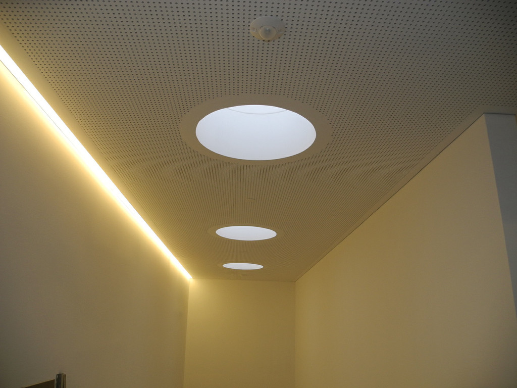 DSCN8457_JPG-1355036350