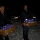 CIMG5695_JPG-1355040741