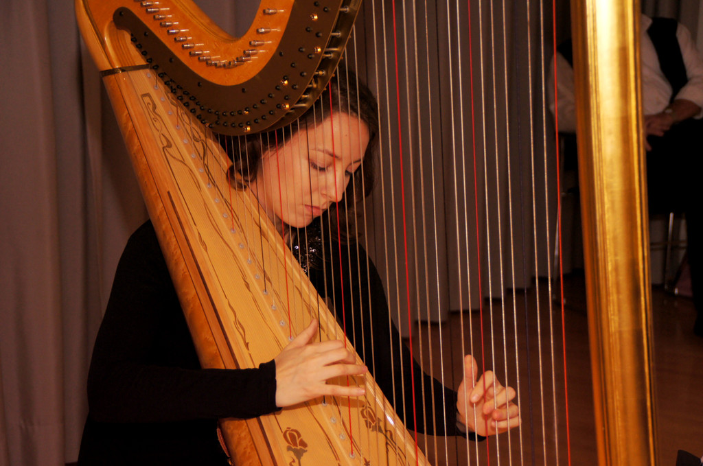 DSC00367_JPG-1355064464