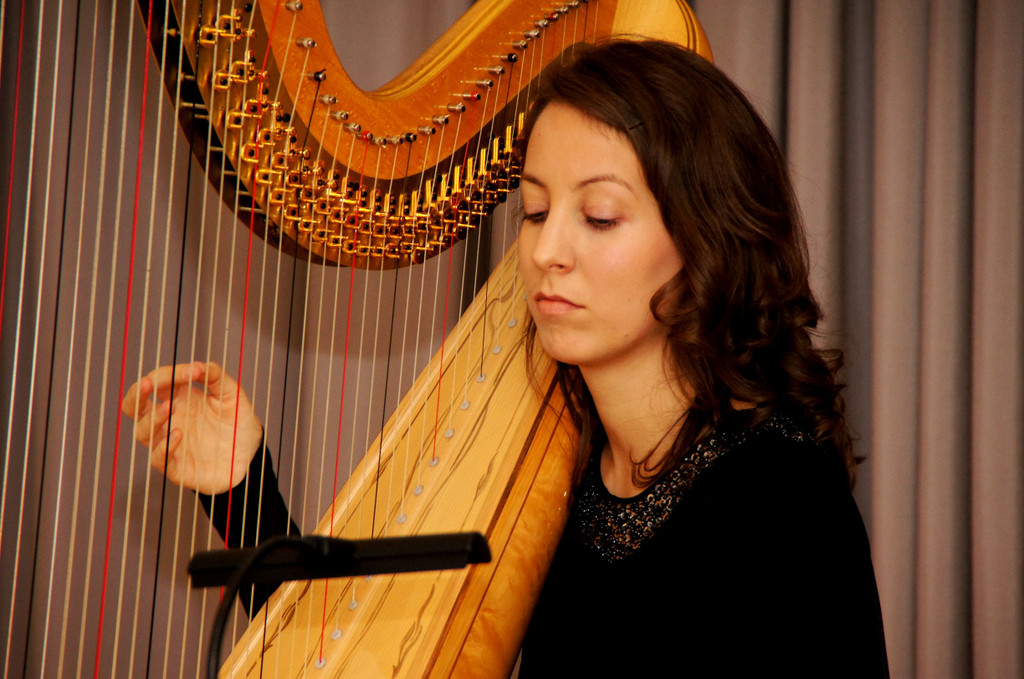 DSC00377_JPG-1355064622