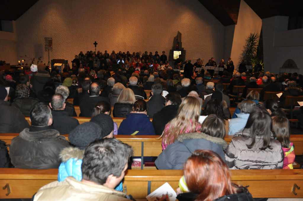 DSC_0070 - Kopie_JPG-1355085105