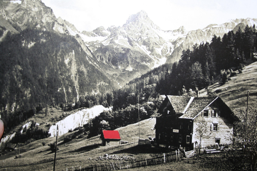 Schillerkopf4_jpg-1355085446