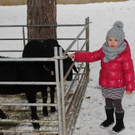 DSC_2211_JPG-1355086128