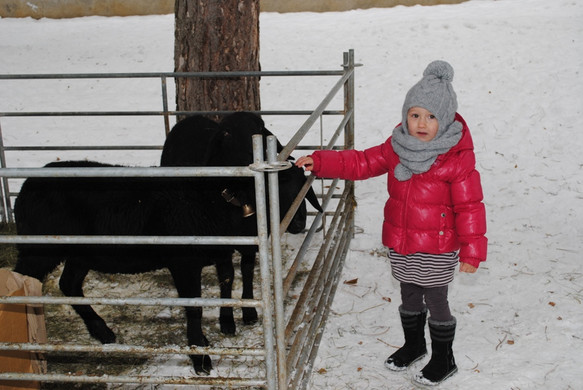 DSC_2211_JPG-1355086128