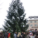 Markt26_jpg-1355089525