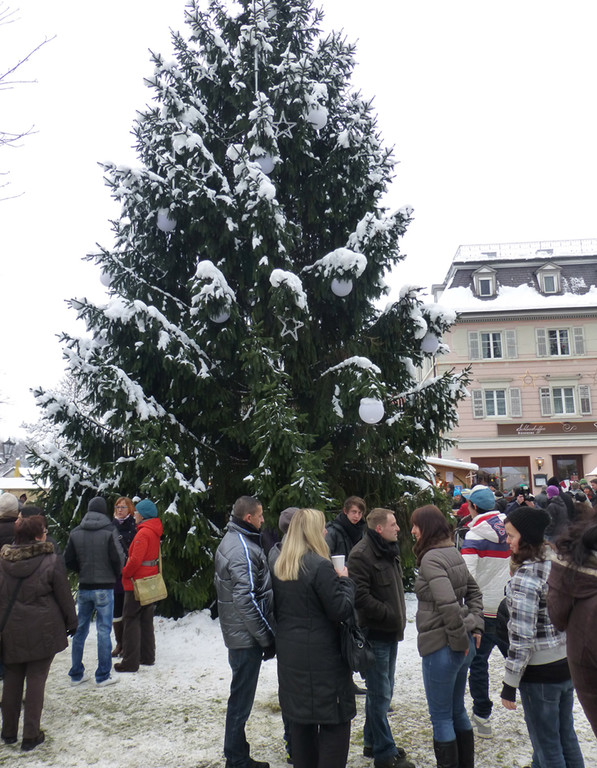 Markt26_jpg-1355089525