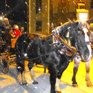 Markt31Kutsche_jpg-1355089611