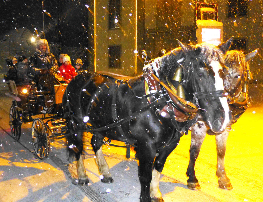 Markt31Kutsche_jpg-1355089611