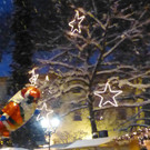 Markt34_jpg-1355089640