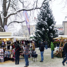 Markt36_jpg-1355089660