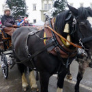 Markt36aKutsche_jpg-1355089668