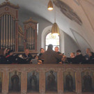 DSC_8411.jpg