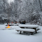 DSC01884.JPG