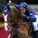 Mehr Pics: Pappas Amadeus Horse Indoors