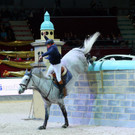 KRUG20121207064.jpg