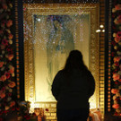 DAB0731-20121210.jpg
