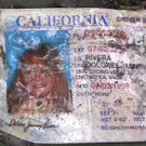 DAB0663-20121210.jpg
