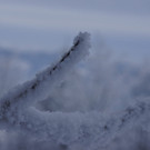 _DSC0030.JPG