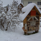 BILD3745.JPG