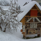 BILD3746 a_ g__.jpg