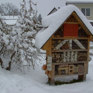 BILD3746.JPG
