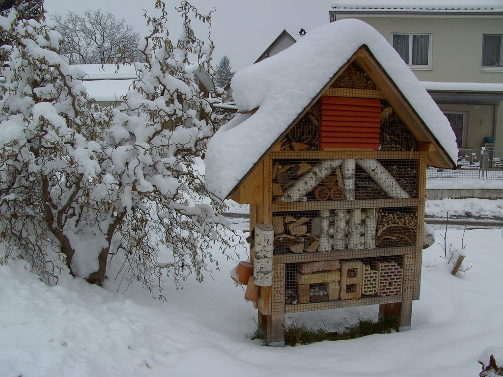 BILD3746.JPG