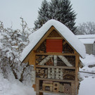 BILD3747.JPG