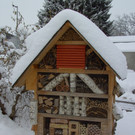BILD3748_j g.jpg
