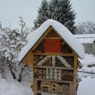 BILD3748.JPG