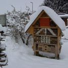 BILD3749.JPG