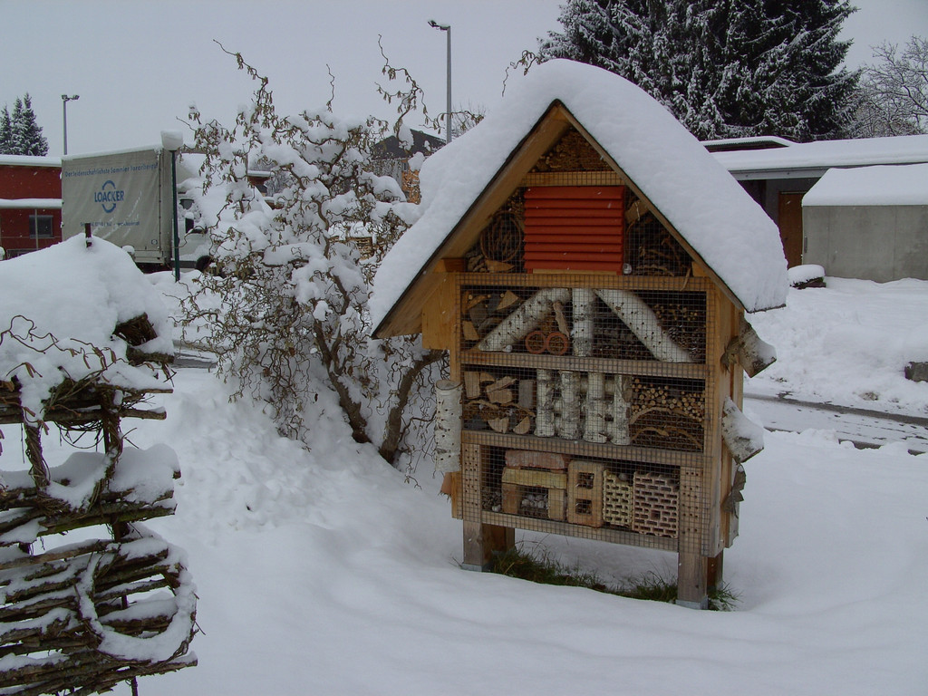 BILD3749.JPG