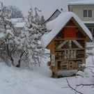 BILD3750.JPG