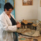 Sauer4_jpg-1355136693