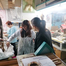 Sauer10_jpg-1355136722