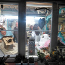 Sauer11_jpg-1355136725