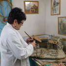 Sauer14_jpg-1355136739