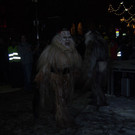 DSC_0370.jpg