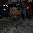 DSC_0372.jpg