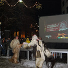 DSC_0396.jpg