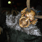 DSC_0457.jpg