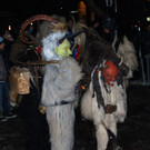 DSC_0461.jpg